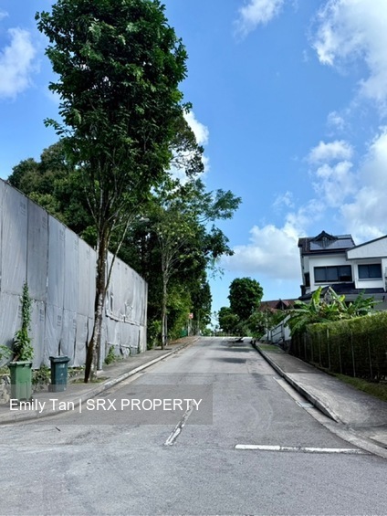 Capitol Park (D11), Semi-Detached #535428791